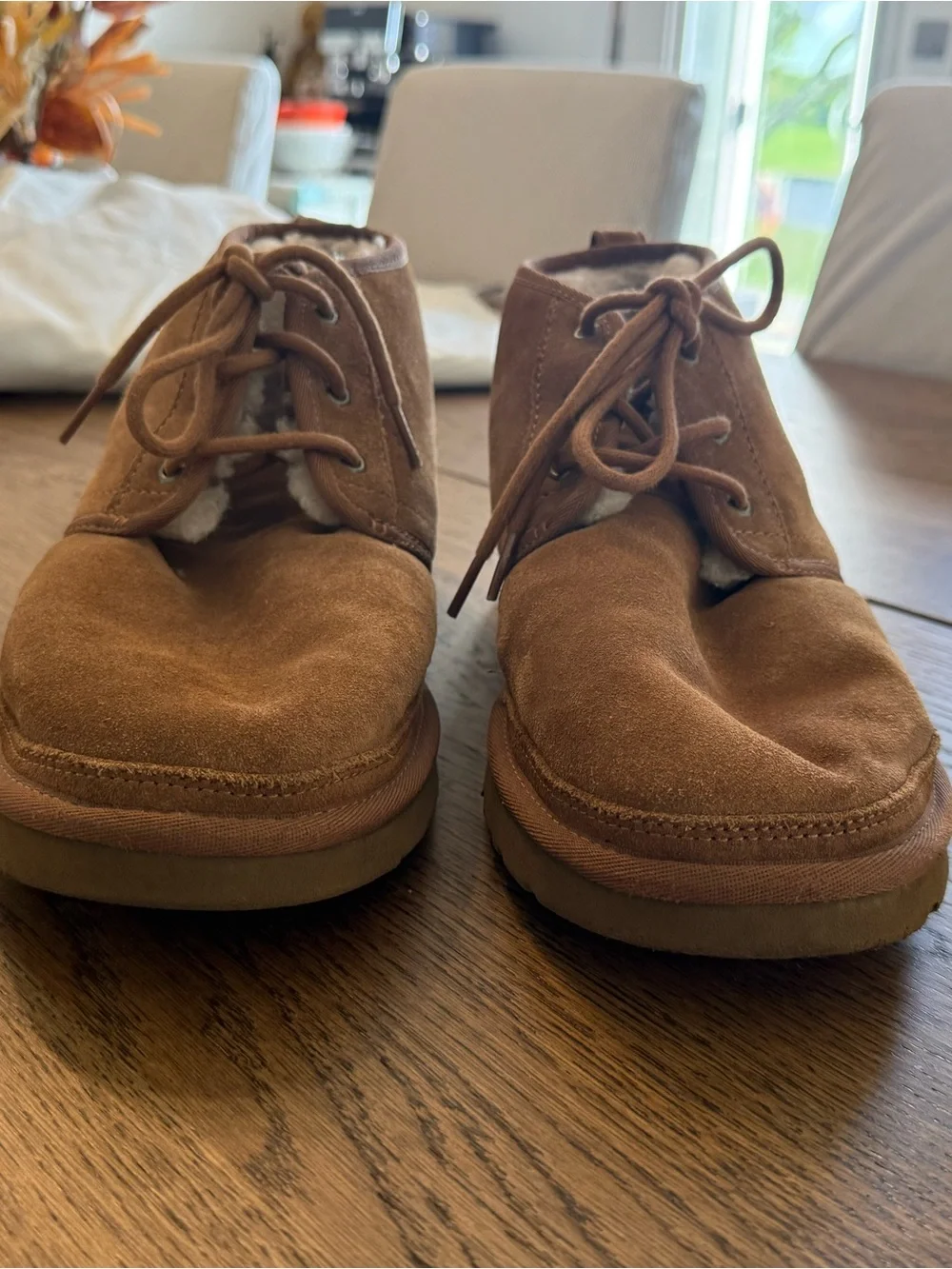 UGG men chukka